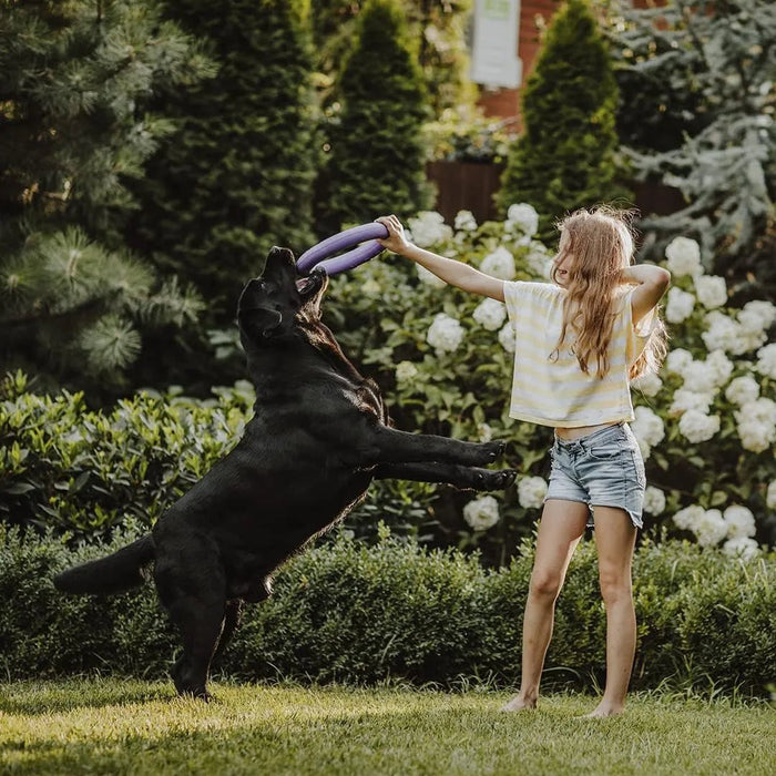 MOOIZA Biotic Probio – Probiotico cães e gatos, flora intestinal, apoio gastrointestinal natural - digestão saudável, fortalece o sistema imunitário - PetDoctors - Loja Online