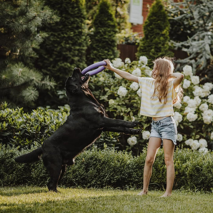 MOOIZA Vita - 21 multivitaminas e minerais para cães e gatos, aminoácidos, complexo vitamina B com vitamina A, C, D3 - zinco - iodo - cálcio - apoio imunitário - ossos - PetDoctors - Loja Online