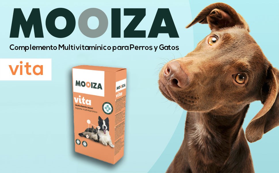 MOOIZA Vita - 21 multivitaminas e minerais para cães e gatos, aminoácidos, complexo vitamina B com vitamina A, C, D3 - zinco - iodo - cálcio - apoio imunitário - ossos - PetDoctors - Loja Online