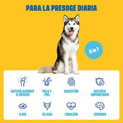 Multivitaminas - Complemento alimentar Multivitamínico para cães - cuidado completo para uma vida feliz do cão - 60 biscoitos de frango (270 g) - PetDoctors - Loja Online