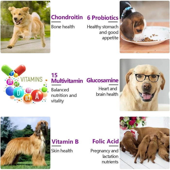 Multivitaminas Suplemento para Cães, 15 minerais e vitaminas para todos os cães 150 comprimidos, sabor de pato - PetDoctors - Loja Online