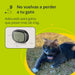 Nova Coleira GPS para Cães e Gatos - Seguimento de atividade, 38 gramas, à Prova de água, bateria de 10 dias - PetDoctors - Loja Online