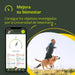 Nova Coleira GPS para Cães e Gatos - Seguimento de atividade, 38 gramas, à Prova de água, bateria de 10 dias - PetDoctors - Loja Online