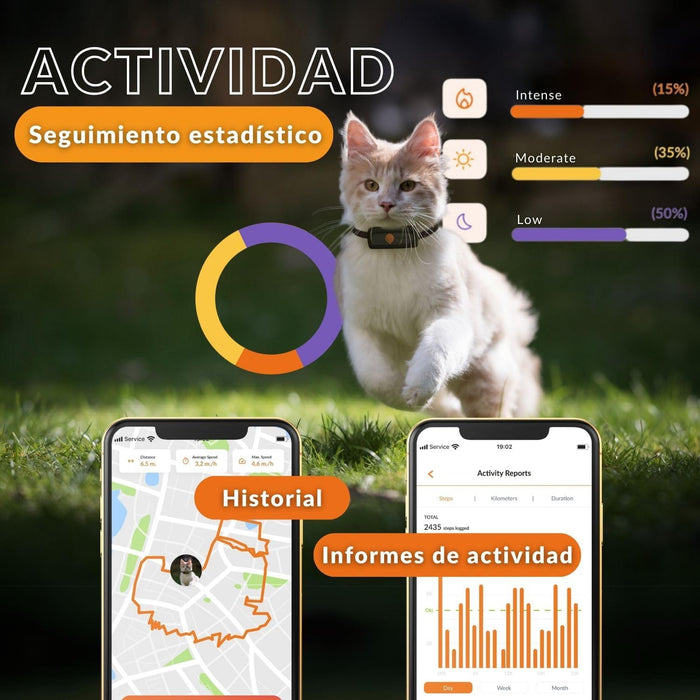 Novo GPS para gatos | Cat XS | mini rastreador GPS em tempo real | o menor do mercado | subscrição | coleira incluída - PetDoctors - Loja Online