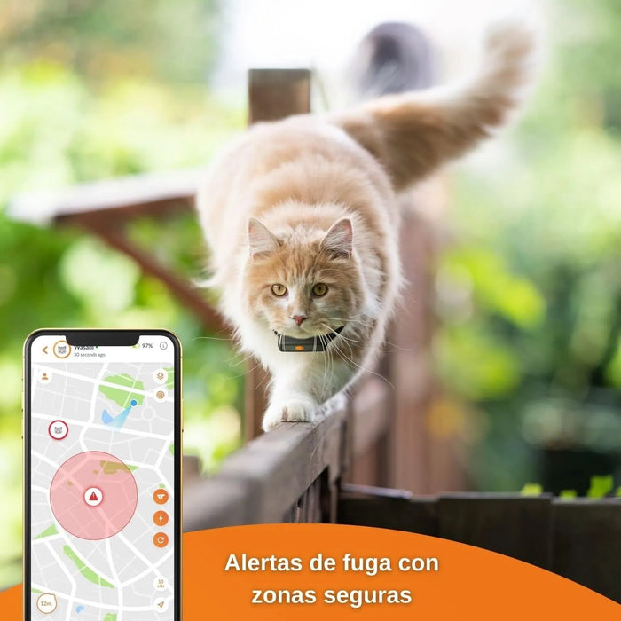 Novo GPS para gatos | Cat XS | mini rastreador GPS em tempo real | o menor do mercado | subscrição | coleira incluída - PetDoctors - Loja Online