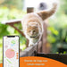 Novo GPS para gatos | Cat XS | mini rastreador GPS em tempo real | o menor do mercado | subscrição | coleira incluída - PetDoctors - Loja Online