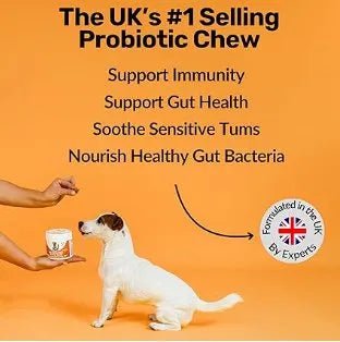 NutriPaw Pré e Probióticos para cães, saúde intestinal e digestiva, glândulas anais, diarreias, orelhas com mau cheiro ou comichão, enzimas digestivas - PetDoctors - Loja Online