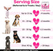 NutriPaw Tratamentos imunitários para cães, acalmar a comichão das patas, olhos, orelhas, pele, pára de morder, lamber, arranhões, perfeito para cães pequenos, médios e grandes - PetDoctors - Loja Online