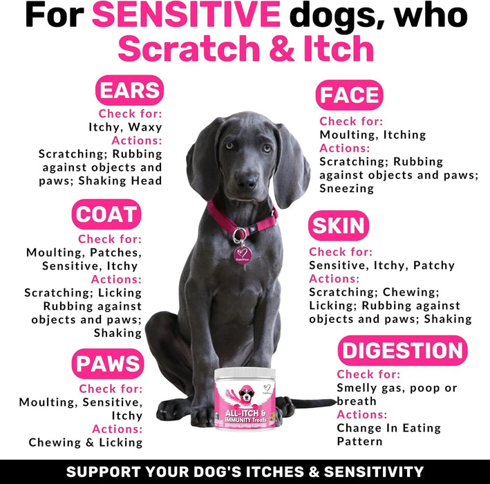 NutriPaw Tratamentos imunitários para cães, acalmar a comichão das patas, olhos, orelhas, pele, pára de morder, lamber, arranhões, perfeito para cães pequenos, médios e grandes - PetDoctors - Loja Online