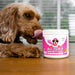 NutriPaw Tratamentos imunitários para cães, acalmar a comichão das patas, olhos, orelhas, pele, pára de morder, lamber, arranhões, perfeito para cães pequenos, médios e grandes - PetDoctors - Loja Online
