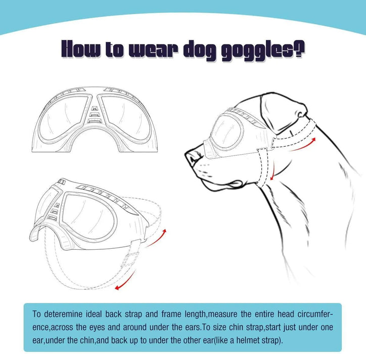 Óculos de Sol para Cães - Proteção UV Impermeáveis e Ajustáveis - PetDoctors - Loja Online