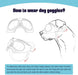 Óculos de Sol para Cães - Proteção UV Impermeáveis e Ajustáveis - PetDoctors - Loja Online