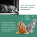 Óleo de cânhamo 100 % puro para cães e gatos 60 ml, calmante e anti - stress, ômega 3, 6 e 9, melhora o sono e cuida das suas articulações, pele e pêlo, sem sabor - PetDoctors - Loja Online
