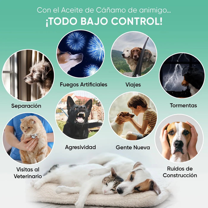 Óleo de cânhamo 100 % puro para cães e gatos 60 ml, calmante e anti - stress, ômega 3, 6 e 9, melhora o sono e cuida das suas articulações, pele e pêlo, sem sabor - PetDoctors - Loja Online