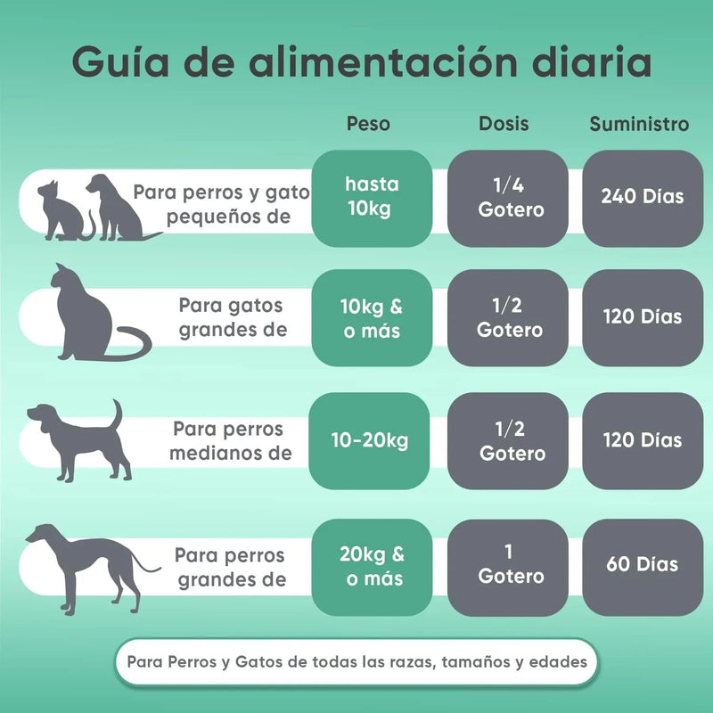 Óleo de cânhamo 100 % puro para cães e gatos 60 ml, calmante e anti - stress, ômega 3, 6 e 9, melhora o sono e cuida das suas articulações, pele e pêlo, sem sabor - PetDoctors - Loja Online