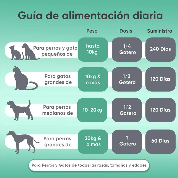 Óleo de cânhamo 100 % puro para cães e gatos 60 ml, calmante e anti - stress, ômega 3, 6 e 9, melhora o sono e cuida das suas articulações, pele e pêlo, sem sabor - PetDoctors - Loja Online