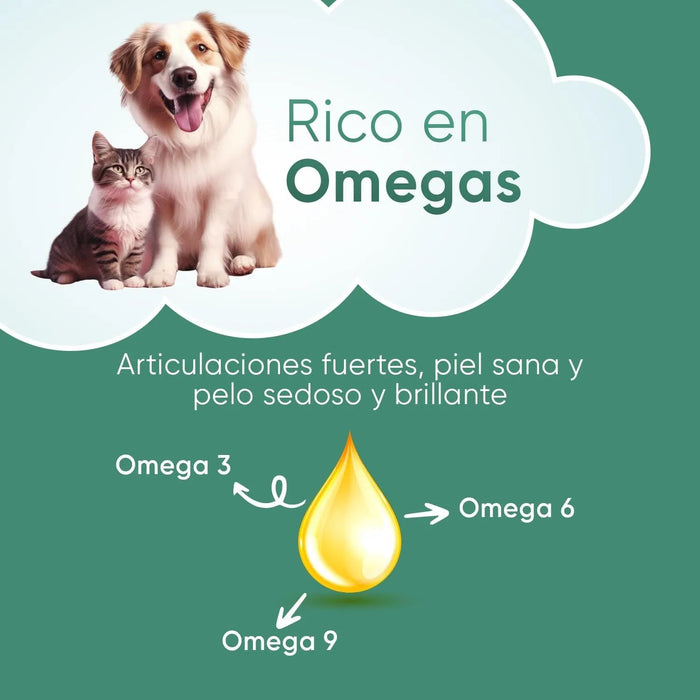 Óleo de cânhamo 100 % puro para cães e gatos 60 ml, calmante e anti - stress, ômega 3, 6 e 9, melhora o sono e cuida das suas articulações, pele e pêlo, sem sabor - PetDoctors - Loja Online