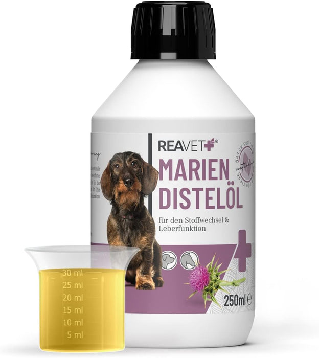 Óleo de cardo ReaVET para cães - Natural de Qualidade PREMIUM - Ajuda para vómitos, BARF I Rico em vitamina E, ómega - 6, ómega - 9 - PetDoctors - Loja Online