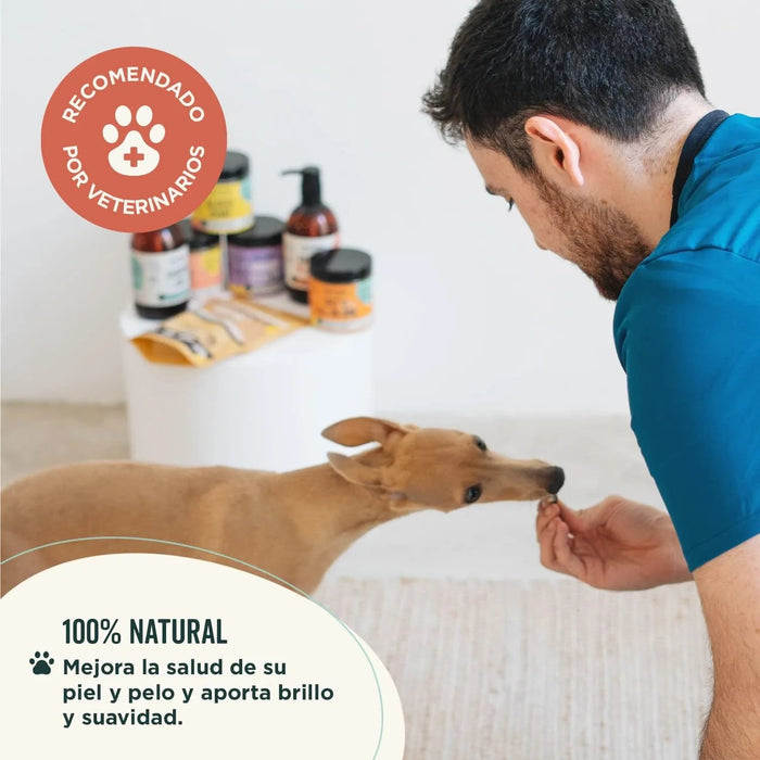 Óleo de salmão norueguês para cães e gatos - 500 ml, rico em Omega 3, 6 e vitaminas para o cuidado da pele, propriedades anti - inflamatórias - 100% natural - PetDoctors - Loja Online
