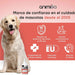 Óleo de salmão para cães e gatos (500 ml) - natural, salmão norueguês - suplemento Barf para cães e gatos com Omega 3, Omega 6 e Omega 9, pelo com mais brilho, pele saudável e hidratada, para articulações - PetDoctors - Loja Online