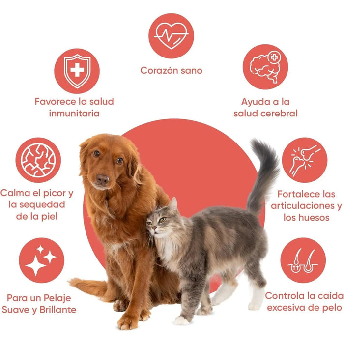 Óleo de salmão para cães e gatos (500 ml) - natural, salmão norueguês - suplemento Barf para cães e gatos com Omega 3, Omega 6 e Omega 9, pelo com mais brilho, pele saudável e hidratada, para articulações - PetDoctors - Loja Online