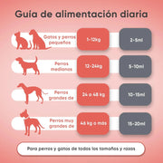 Óleo de salmão para cães e gatos (500 ml) - natural, salmão norueguês - suplemento Barf para cães e gatos com Omega 3, Omega 6 e Omega 9, pelo com mais brilho, pele saudável e hidratada, para articulações - PetDoctors - Loja Online