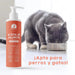 Óleo de salmão para cães e gatos - anti - inflamatório, ômega 3 e 6, pele saudável e pelo brilhante, vitaminas e cálcio, 100% natural - PetDoctors - Loja Online