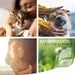Óleo para ração ReaVET para cães, 4 variedades x 500 ml, óleo BARF para cães, óleo BARF de alta qualidade para cães, natural e apropriado para todas as raças - PetDoctors - Loja Online