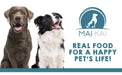Orelhas de porco para cães - Snacks 100 % naturais - alternativa aos ossos para cães - orelha de porco completa desidratada - PetDoctors - Loja Online