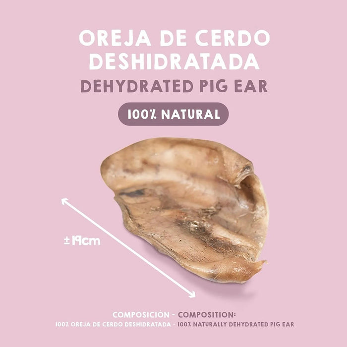 Orelhas de porco para cães - Snacks 100 % naturais - alternativa aos ossos para cães - orelha de porco completa desidratada - PetDoctors - Loja Online