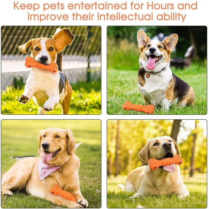 Osso / Brinquedo dispensador de biscoitos - PetDoctors - Loja Online