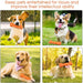 Osso / Brinquedo dispensador de biscoitos - PetDoctors - Loja Online