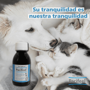 Pacifeel Heel - Suplemento Natural Anti - Ansiedade para Cães e Gatos 150ml - PetDoctors - Loja Online