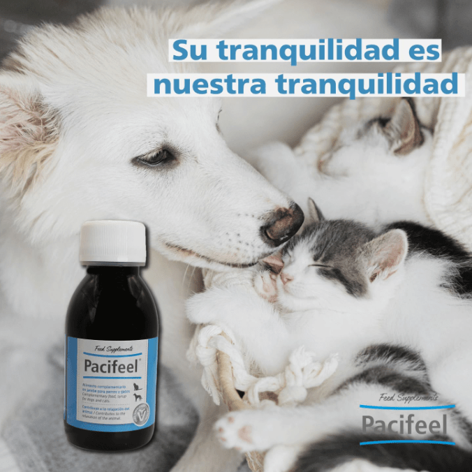 Pacifeel Heel - Suplemento Natural Anti - Ansiedade para Cães e Gatos 150ml - PetDoctors - Loja Online