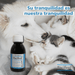 Pacifeel Heel - Suplemento Natural Anti - Ansiedade para Cães e Gatos 150ml - PetDoctors - Loja Online