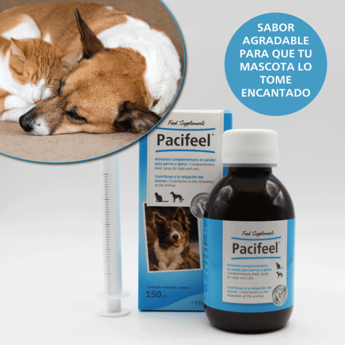 Pacifeel Heel - Suplemento Natural Anti - Ansiedade para Cães e Gatos 150ml - PetDoctors - Loja Online
