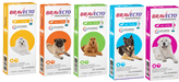 PACK Desparasitação 12 MESES - CÃO - BRAVECTO® - ENVIO GRATUITO - PetDoctors - Loja Online
