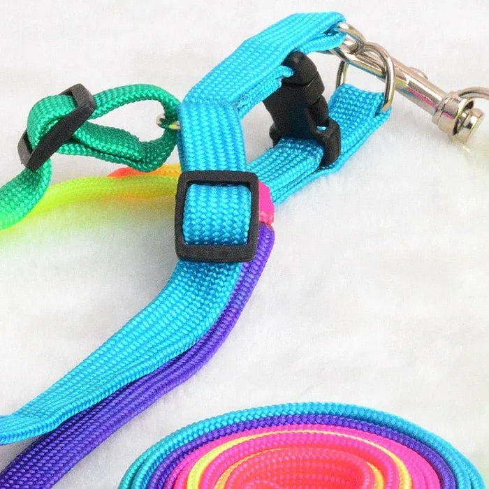 Peitoral / Arnês Arco - Íris, para cão, com trela de 120cm - PetDoctors - Loja Online
