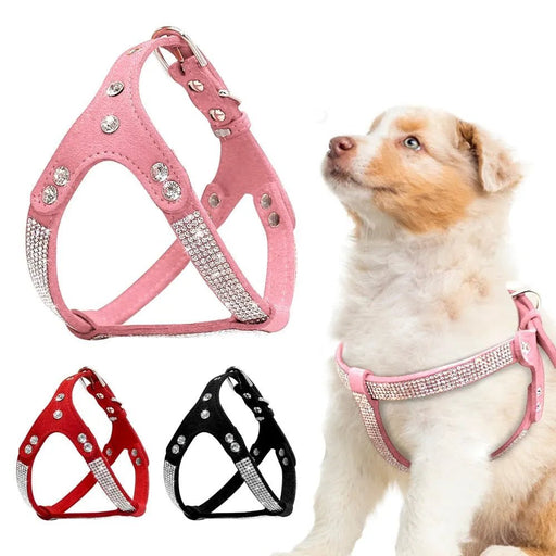 Peitoral em Cabedal, com incrustação de Cristais, para Cães de Raças Pequenas e Médias - PetDoctors - Loja Online