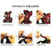Peitoral "No - pull" Desportivo e Reflector - PetDoctors - Loja Online