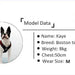 Peitoral "No - pull" Desportivo e Reflector - PetDoctors - Loja Online