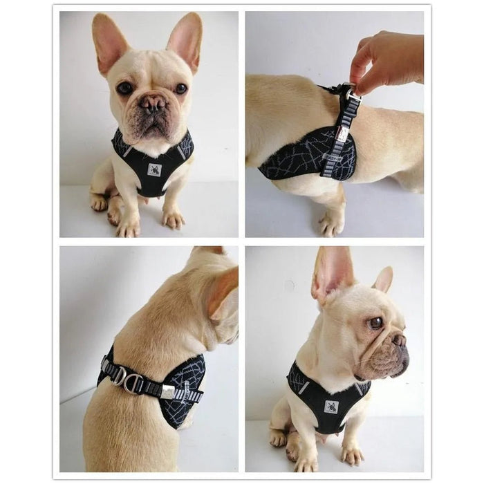 Peitoral "No - pull" Desportivo e Reflector - PetDoctors - Loja Online