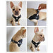 Peitoral "No - pull" Desportivo e Reflector - PetDoctors - Loja Online