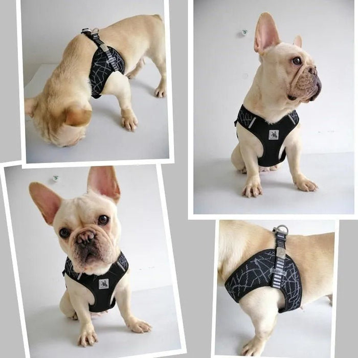 Peitoral "No - pull" Desportivo e Reflector - PetDoctors - Loja Online