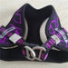 Peitoral "No - pull" Desportivo e Reflector - PetDoctors - Loja Online