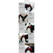 Peitoral "No - pull" Desportivo e Reflector - PetDoctors - Loja Online
