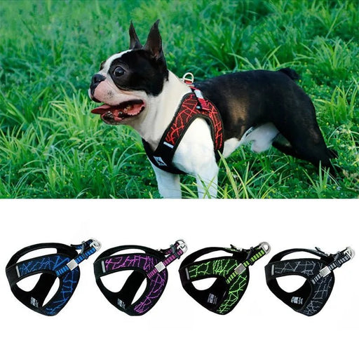 Peitoral "No - pull" Desportivo e Reflector - PetDoctors - Loja Online