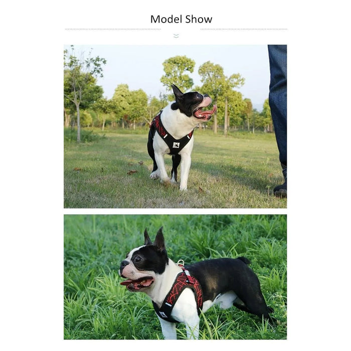 Peitoral "No - pull" Desportivo e Reflector - PetDoctors - Loja Online