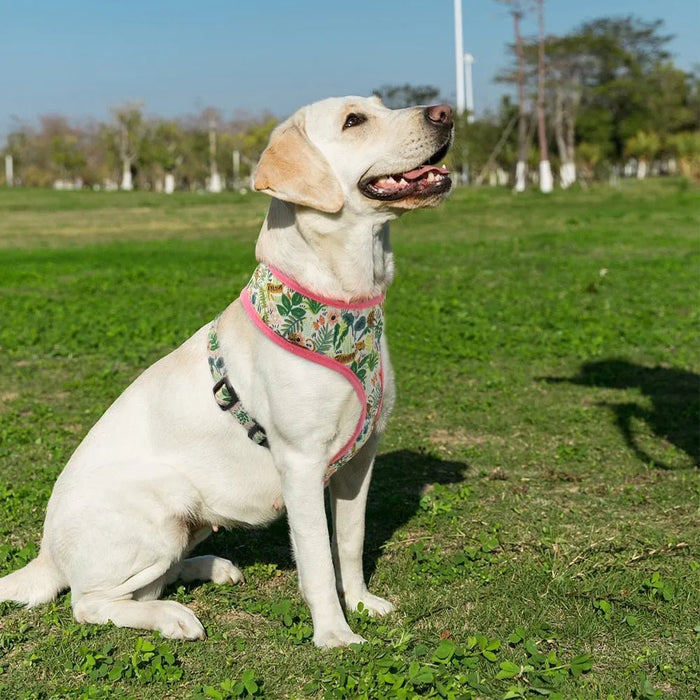 Peitoral para Cães ou Gatos, com Motivos Florais - PetDoctors - Loja Online