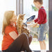 PEIXE Brinquedo Interativo para Cães ou Gatos (Carregamento USB) - PetDoctors - Loja Online